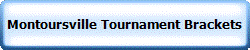 Selinsgrove Team Dual Tournament